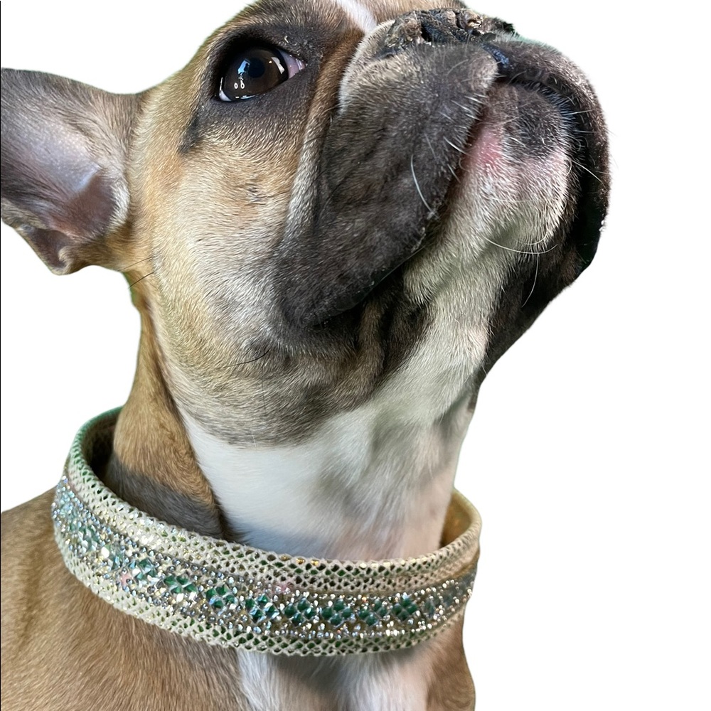 I’m so fancy Gold snake print with diamond geometric bling 19”